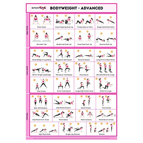 SPORTAXIS No Equipment Laminated Body Weight Workout Poster with Colored Illustrations for Men and Women Home Training Wall Poster (18"x 27") - Image 5