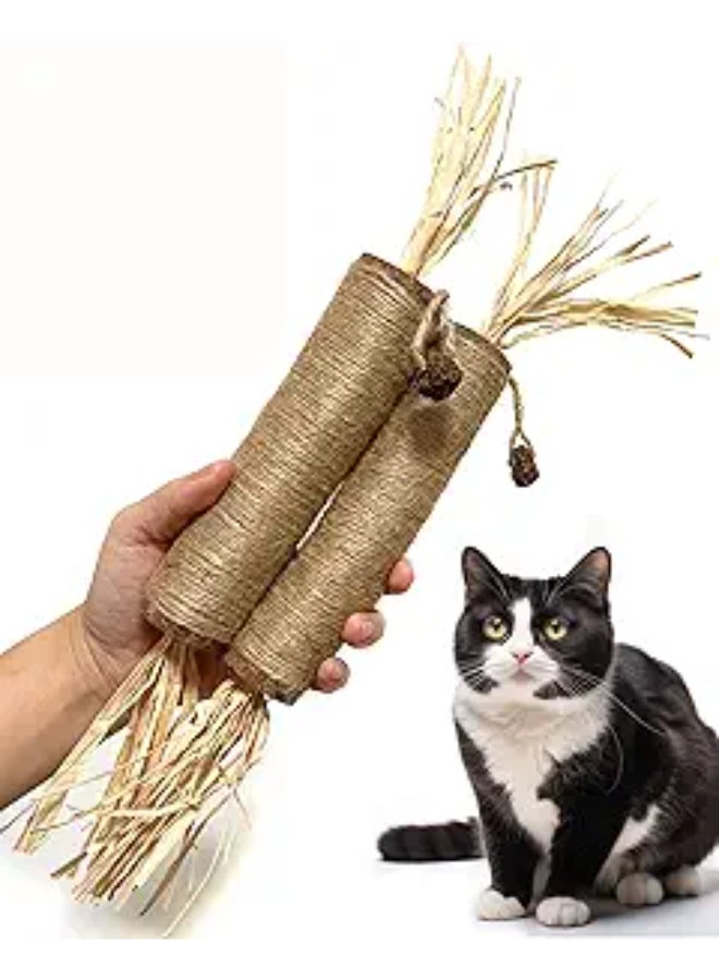 YdingYshengL Huge Silvervine Sticks Cat Toys, Large Natural Catnip Kittens Chew Toy for Teeth Cleaning,Big Catmint Blend Stick, Dental Kitty Chews for Indoor 2 pcs - Image 1