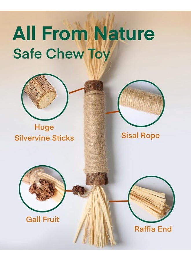 YdingYshengL Huge Silvervine Sticks Cat Toys, Large Natural Catnip Kittens Chew Toy for Teeth Cleaning,Big Catmint Blend Stick, Dental Kitty Chews for Indoor 2 pcs - Image 2