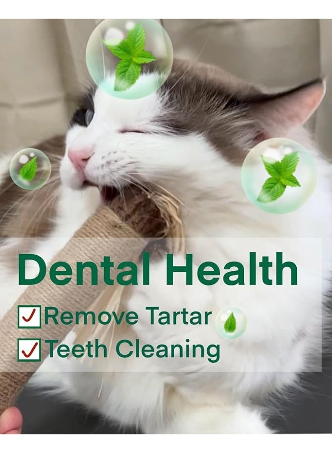 YdingYshengL Huge Silvervine Sticks Cat Toys, Large Natural Catnip Kittens Chew Toy for Teeth Cleaning,Big Catmint Blend Stick, Dental Kitty Chews for Indoor 2 pcs - Image 4
