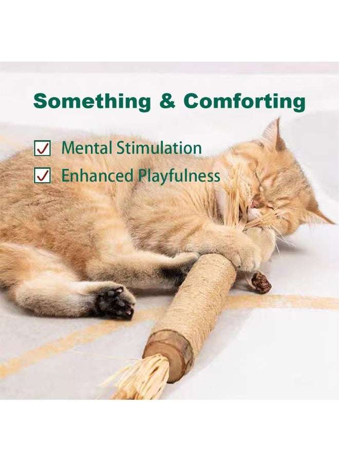 YdingYshengL Huge Silvervine Sticks Cat Toys, Large Natural Catnip Kittens Chew Toy for Teeth Cleaning,Big Catmint Blend Stick, Dental Kitty Chews for Indoor 2 pcs - Image 5