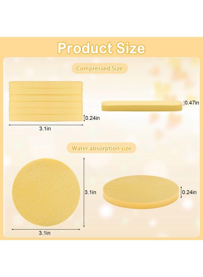 لوكسيف 84 قطعة من إسفنجة الوجه المضغوطة، إسفنجة تنظيف الوجه من Luxiv لخبراء التجميل، إسفنجة مكياج مضغوطة، إسفنجة غسيل وجه مستديرة للنساء، إسفنجة إزالة التقشير المضغوطة (أصفر) - Image 2