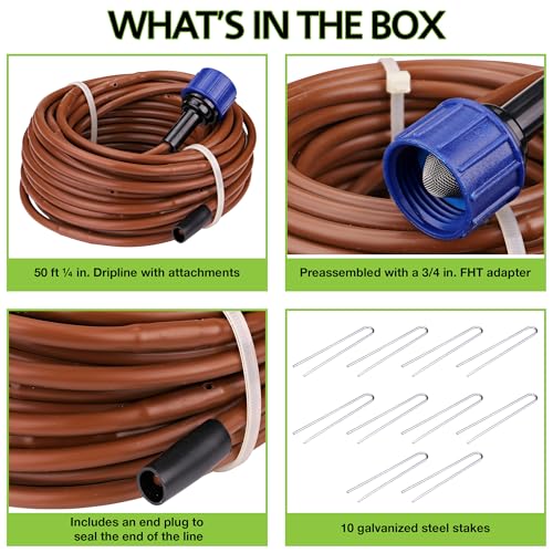 Raindrip R567DT Drip Irrigation Watering Kit for Vegetable Gardens Includes 50 feet of 1/4-Inch Dripline, 3/4-Inch FHT Adapter, 10 Hold-Down Stakes, 1 End Plug - Image 2