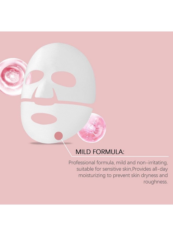 VALUEVIBES Bio-Collagen Deep Hydration Mask - Overnight Hydrogel Mask for Pore Minimizing, Firming, and Moisturizing with Low Molecular Weight for Enhanced Absorption (4 Count) - Image 4