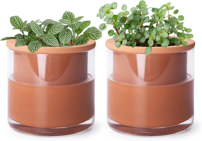 Phoenix Vine 4 Inch Self Watering Plants Pot, Design Terracotta Pot for Plants, Indoor Cylinder Terra Cotta Planter with Glass Vase, Set of 2, 51-A-E-2 - Image 1