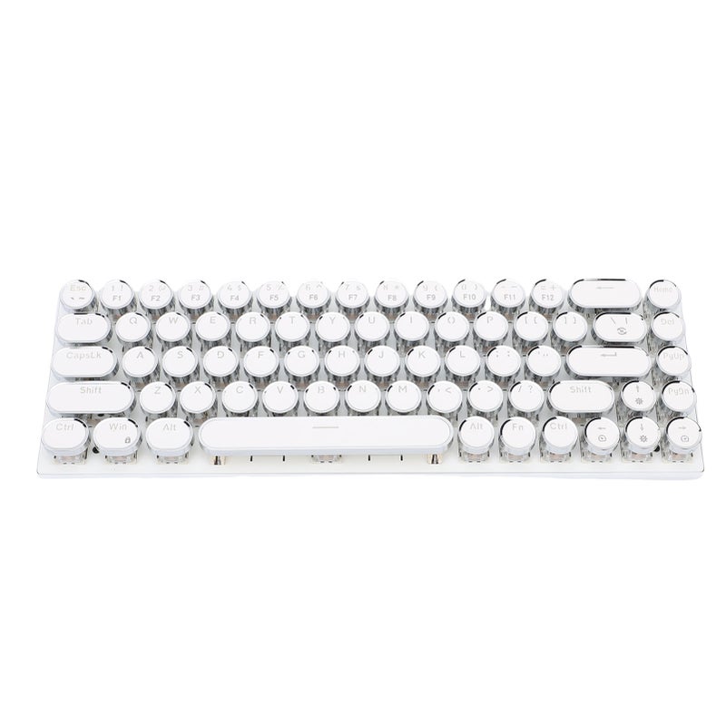 Wired Gaming Keyboard TW1870 68 Keys RGB Colorful LED Backlight Portable Compact Gaming Keyboard White Color Blue Switch - Image 2