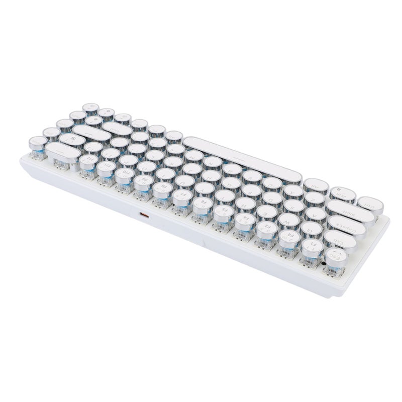 Wired Gaming Keyboard TW1870 68 Keys RGB Colorful LED Backlight Portable Compact Gaming Keyboard White Color Blue Switch - Image 4