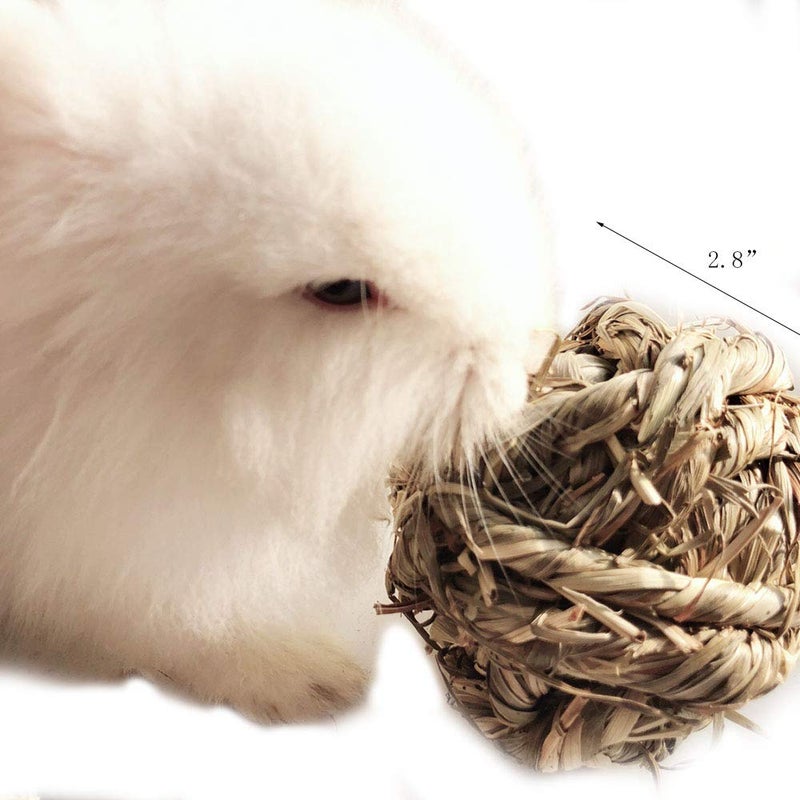 Hamiledyi Rabbit Chew Ball Timothy Grass Grinding Small Animal Activity Play Chew Toys for Bunny Rabbits Hamster Guinea Pigs Gerbils - Image 2
