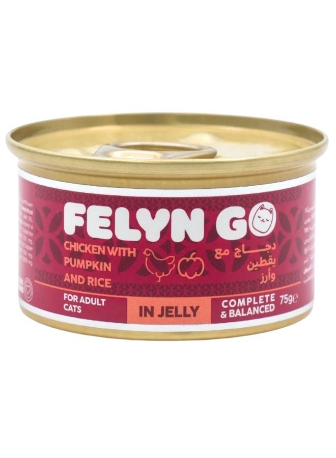 Felyn Go C&B Chicken with Pumpkin & Rice in Jelly – Complete Wet Cat Food 6x75g - Image 1