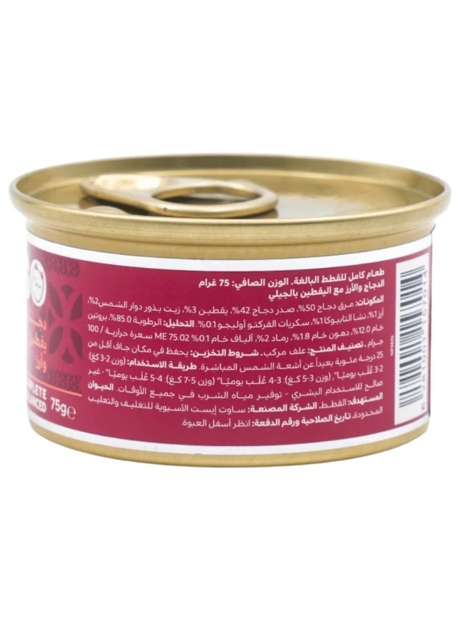 Felyn Go C&B Chicken with Pumpkin & Rice in Jelly – Complete Wet Cat Food 6x75g - Image 2