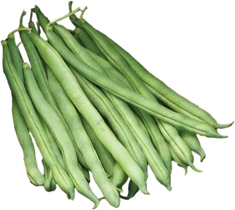 Burpee Big Kahuna Bush Bean Seeds 2 ounces of seed - Image 1