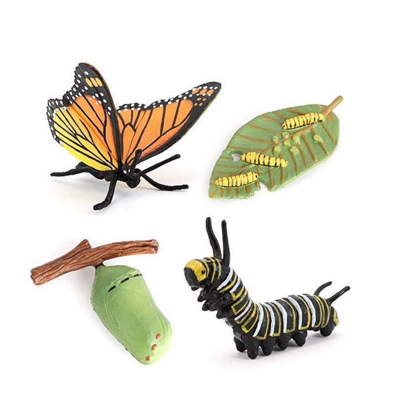 Hvogvok Butterfly Growth Cycle Animal Growth Cycle Biological Model Growth Stage Lifelike Butterfly Life Cycle Model Set for Kids Education Insect Themed Party Favors - Image 2