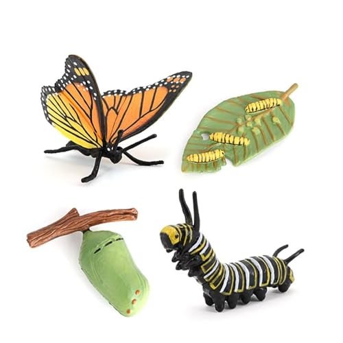 Hvogvok Butterfly Growth Cycle Animal Growth Cycle Biological Model Growth Stage Lifelike Butterfly Life Cycle Model Set for Kids Education Insect Themed Party Favors - Image 1