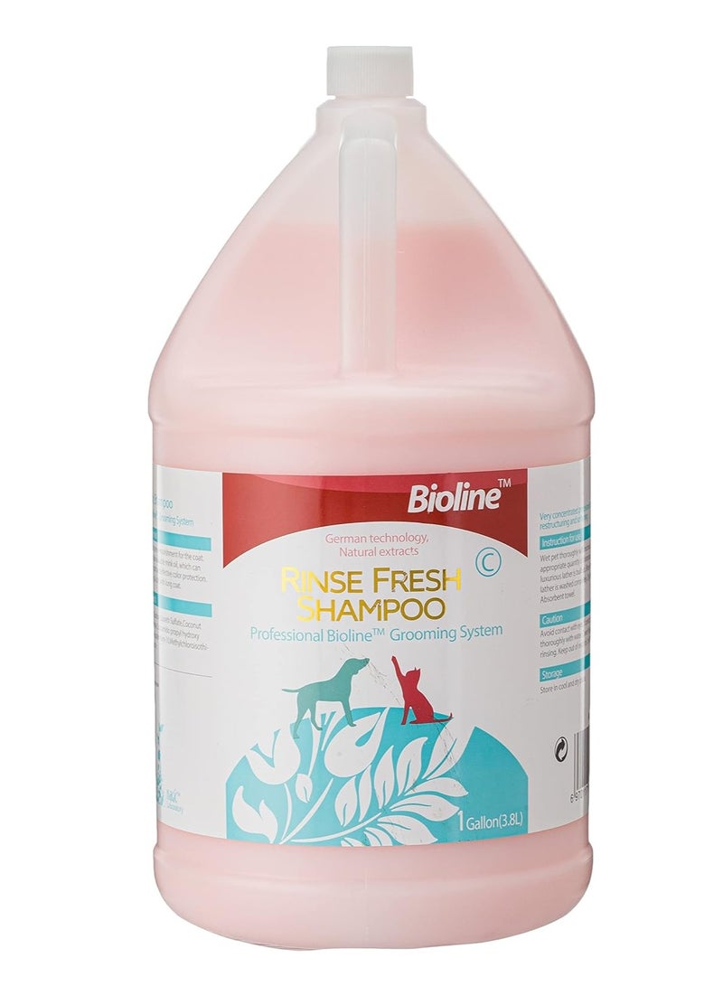 Bioline 3.8L Cat and Dod Shampoo - Rinse Freshness in Every Wash - Image 1