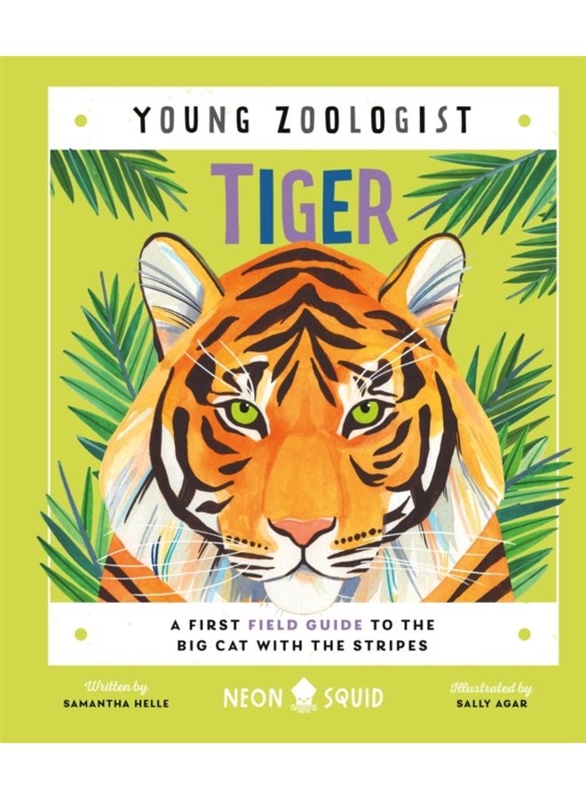 Tiger Young Zoologist A First Field Guide to the Big Cat with the Stripes - Hardback