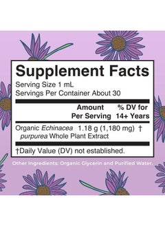 MaryRuth Organics Herbal Supplement Drop | Immune Support | USDA Echinacea Purpurea Liquid | Immune Support | Skin Health | Vegan | Non-GMO | Gluten Free | 1 Fl Oz  - Image 2