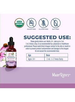 MaryRuth Organics Herbal Supplement Drop | Immune Support | USDA Echinacea Purpurea Liquid | Immune Support | Skin Health | Vegan | Non-GMO | Gluten Free | 1 Fl Oz  - Image 3