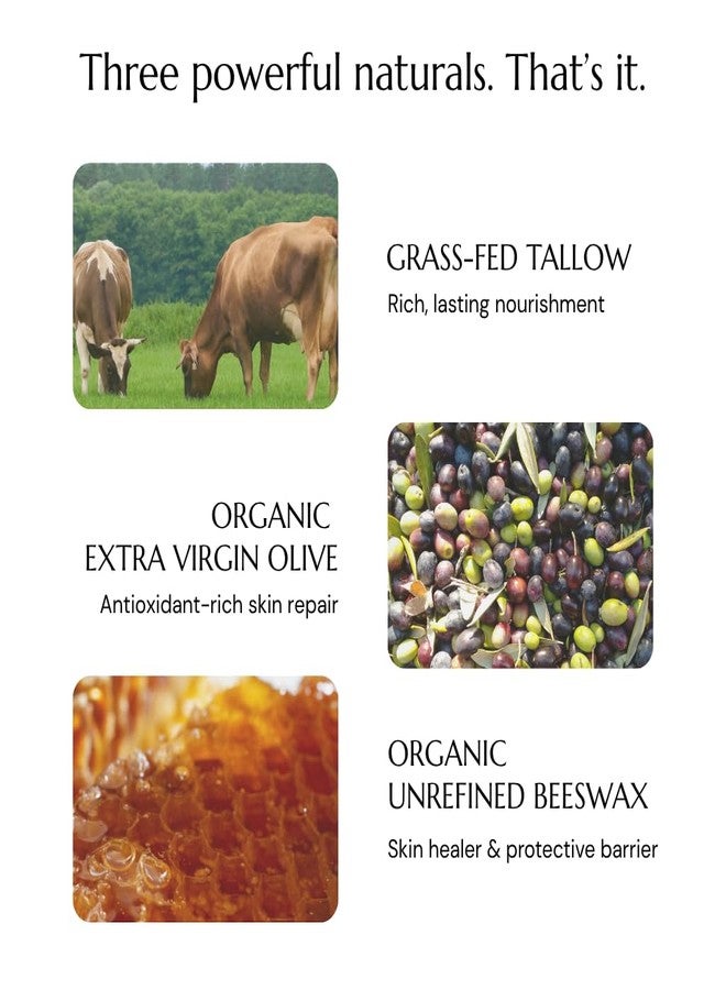 Sunborn Organics بلسم حلمات سنبورن أورجانيكس | كريم طبيعي آمن للرضاعة الطبيعية (خالٍ من اللانولين، بثلاث مكونات طبيعية) لعلاج الحلمات المتشققة أو الملتهبة، آمن على الطفل، لا يحتاج إلى غسل. - Image 5