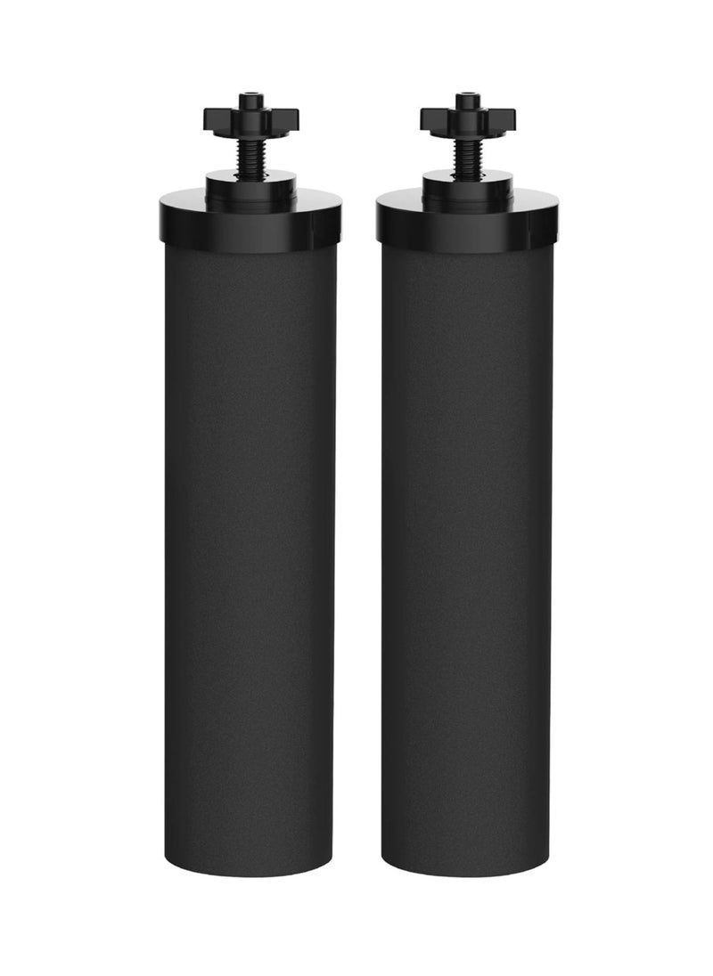 General Water filter, compatible with BB9-2 Black Filter and PF-2 Fluoride Filter Combo Pack and Gravity Filtration System - Includes 2 black filters and 2 fluoride filters  - Image 1