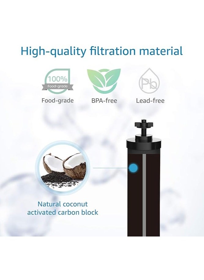 General Water filter, compatible with BB9-2 Black Filter and PF-2 Fluoride Filter Combo Pack and Gravity Filtration System - Includes 2 black filters and 2 fluoride filters  - Image 4