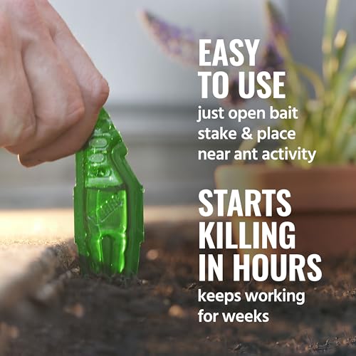 TERRO Liquid Ant Baits - T1813B - Outdoor Ready-to-Use Terro Ant Traps, Kills Household Ants, 12 Stakes - Image 3