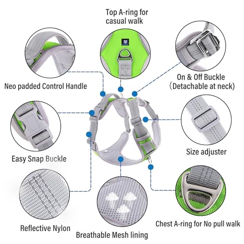 HANK Dog Harness | 3M Reflective | Strong Metal Hook | Dog Chest Belt for Large Dogs | No Pull Harness for Walking, Training (Neon Green - Grey - L (23-35Kg) - Image 2
