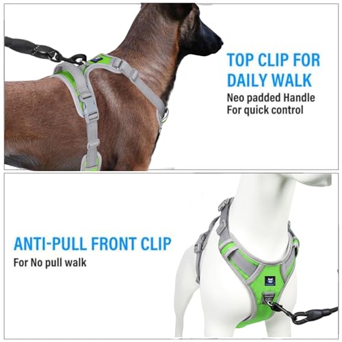 HANK Dog Harness | 3M Reflective | Strong Metal Hook | Dog Chest Belt for Large Dogs | No Pull Harness for Walking, Training (Neon Green - Grey - L (23-35Kg) - Image 3