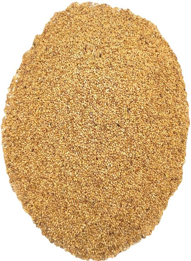 سكاي بذور ذيل الثعلب السماوي، الكانجني، بذور الدخن، غذاء طبيعي 100% للطيور الصغيرة والكبيرة، بما في ذلك الكوكاتيل، وطيور الحب، والعصافير الفضية، والمونيا، والببغاوات، والبادجي، والحمام. - Image 2