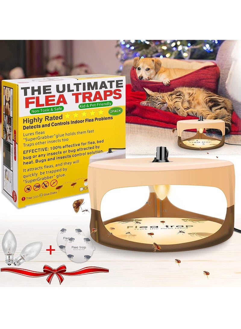 Sticky Dome Indoor Flea Traps Comes with Sticky Pads and Refills Safe for Children and Pets - Image 1