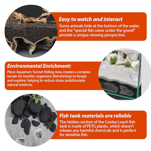 Xanadued Aquarium Decor, Natural Curve Under Gravel Tunnel Cave, Fish Cave for Aquarium, 3D Printed Fish Tank Tunnel Decor for Betta, Guppy, Shrimp, Cory, Small Cichlid (Medium) - Image 4