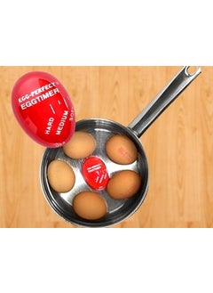 Toptan Bulurum Wholesale Egg Timer  - Image 1
