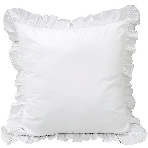 QSH Queen's House 2-Piece White Euro Shams - Image 1