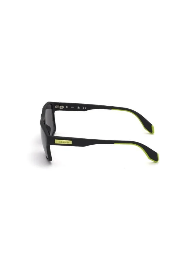 Adidas Wayfarers Sunglasses
