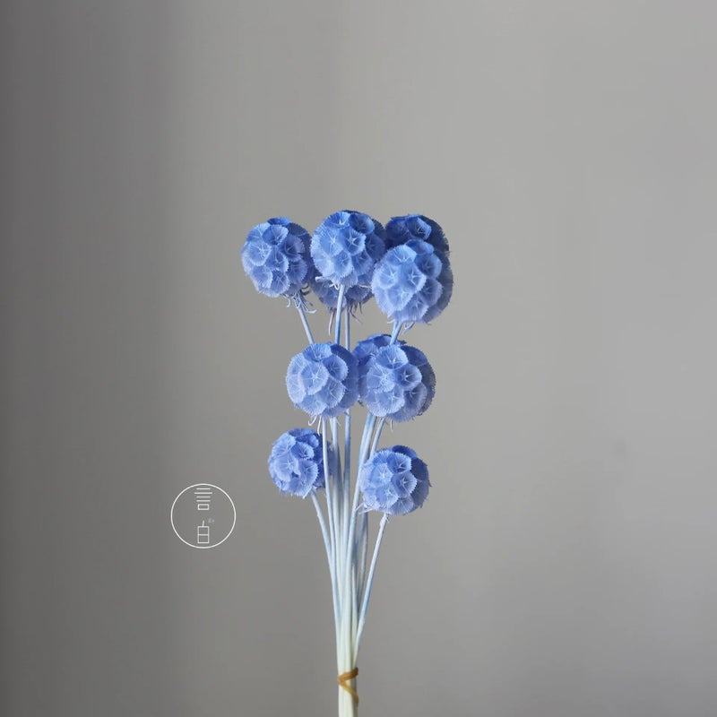 Bluejw Dried Flower Arrangement for Home & Office Decor – Natural Dried Plants Bunch with Leaf Accents, Perfect for Wedding Bridal Bouquet, Party Decoration, and Household Floral Display - Image 1