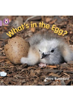 What'S In The Egg? : Band 00/Lilac - Paperback 