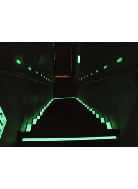 ANKA Phosphorescent Strip Glows Light in the Dark (4 Meters)