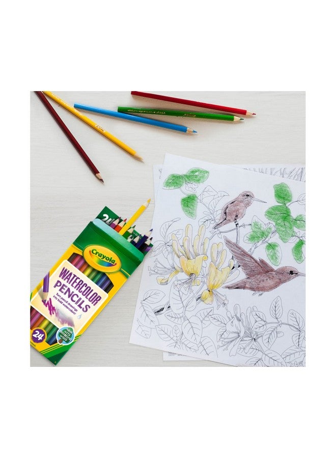 Crayola أقلام تلوين مائية من كرايولا (24 قطعة)، بديل للطلاء المائي، مجموعة أقلام مائية للأطفال، مستلزمات فنية، هدية للأطفال، 3 سنوات فما فوق - Image 4