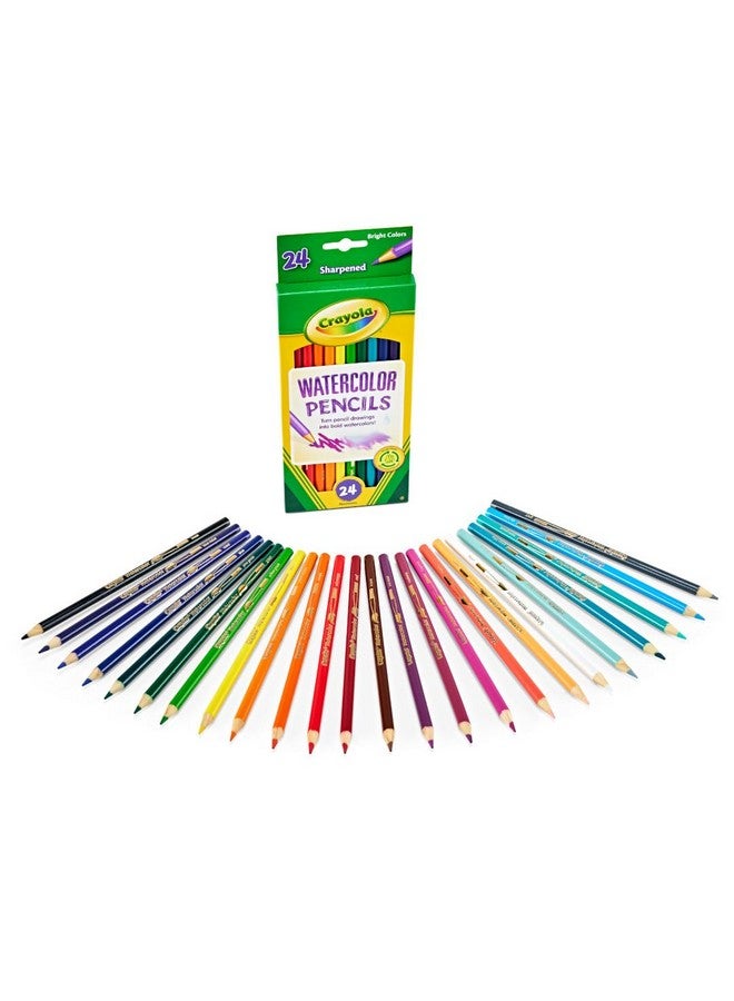Crayola أقلام تلوين مائية من كرايولا (24 قطعة)، بديل للطلاء المائي، مجموعة أقلام مائية للأطفال، مستلزمات فنية، هدية للأطفال، 3 سنوات فما فوق - Image 2