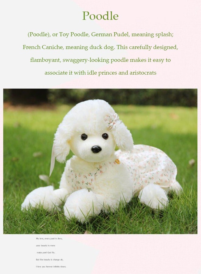 DUNISO Poodle plush toy, simulated dog doll, stuffed animal toy,Stuffed Gift for Graduation Birthday Wedding Decorations Party Favors - Image 4