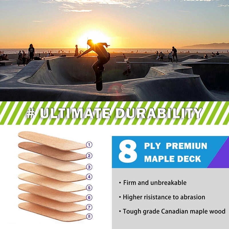 CLYCTIP Skateboard,31 x 8 Inch Complete Skateboard, 8-Layer Maple Wood Deck Double Kick Standard Skateboards for Kids, Teens, Adult, Beginner - Image 4