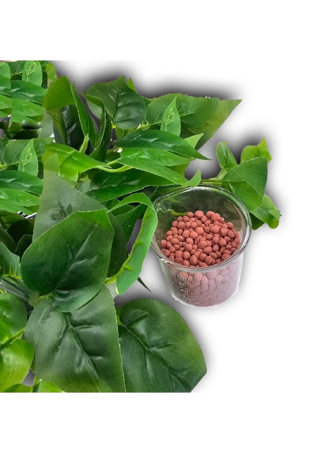 سماد ممتاز NPK 18-18-5 | تركيبة نمو قصوى | سماد نباتي قابل للذوبان في الماء للنباتات الداخلية والخارجية | 500 غرام - Image 1