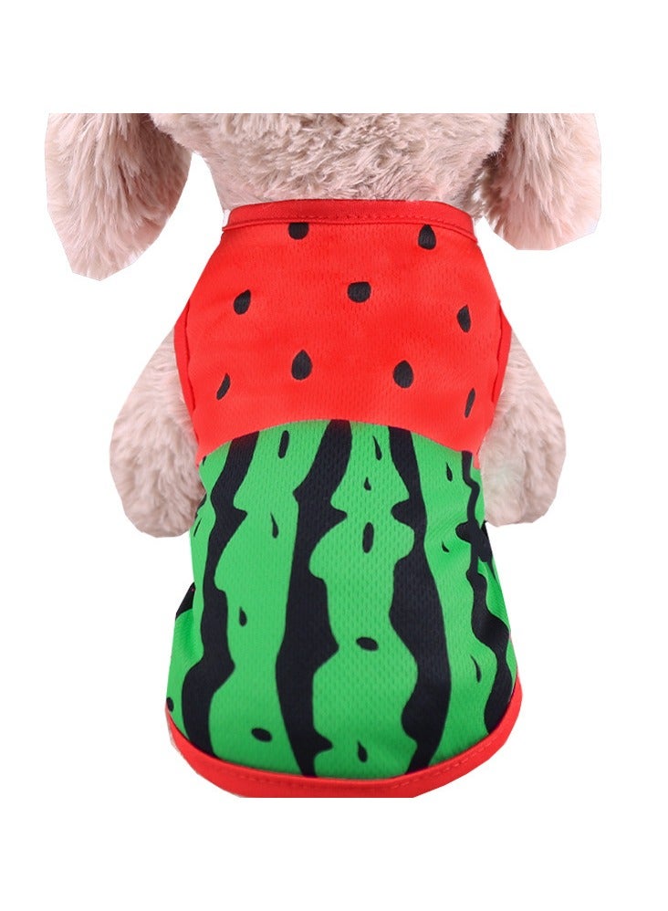 عام سترات الحيوانات الأليفة تحت عنوان الفاكهة 12 قطعة - Image 2