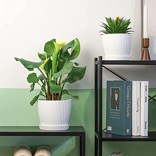 INKULTURE Round Flower Pots for Plants, Home Indoor & Outdoor Planters, Terrace, Garden Etc | Pack of 05 | White | Plastic | 07 inch X 6.5 inch - Image 4