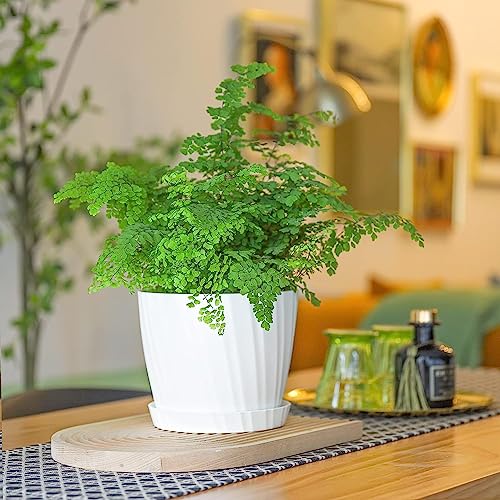 INKULTURE Round Flower Pots for Plants, Home Indoor & Outdoor Planters, Terrace, Garden Etc | Pack of 05 | White | Plastic | 07 inch X 6.5 inch - Image 2