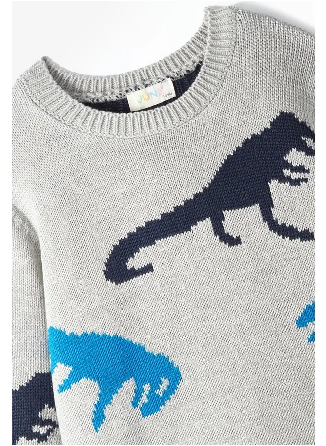 جون June Boy Dinosaur Patterned Sweater Grey