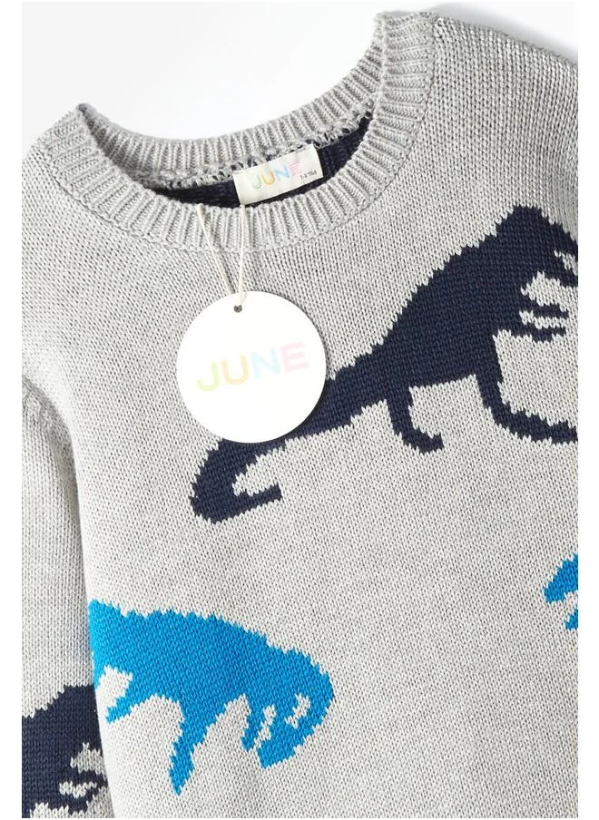 جون June Boy Dinosaur Patterned Sweater Grey