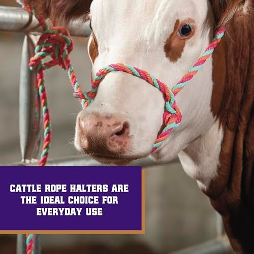 Weaver Livestock Braided Poly Rope Cattle Halter Adjustable Style Cow Calf Halter Livestock Handling Equipment for Showing Hot PinkCoralMint - Image 3