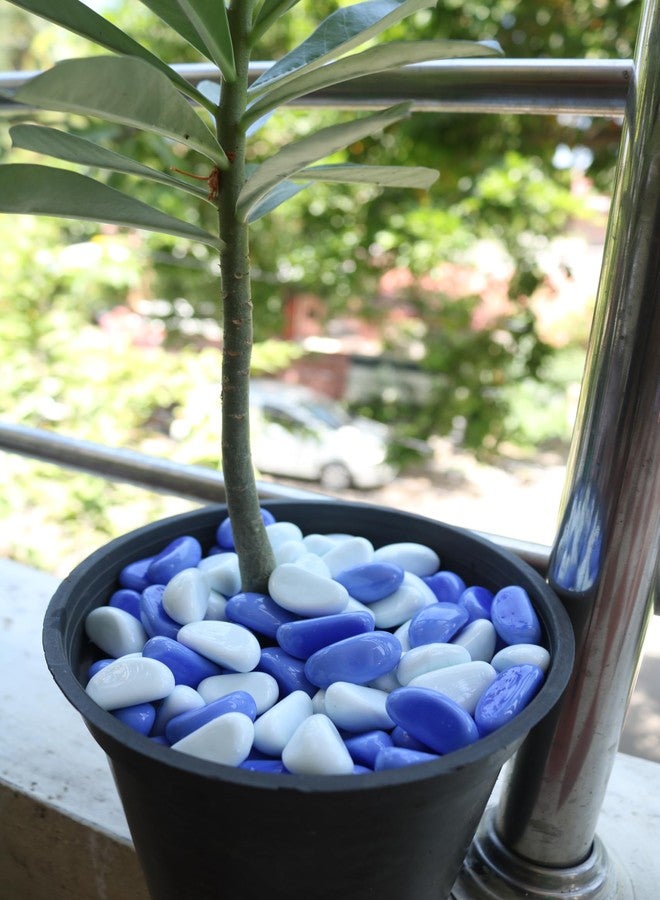 Wowtag Blue and White Glossy Stones for Aquarium, Garden, Plant Pots, Vase fillers, Craft Work, DIY Projects, 1 kg - Image 4