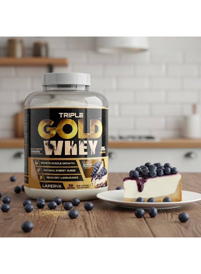 Laperva Triple Gold Whey Crunchy Blueberry Cheesecake 5lbs