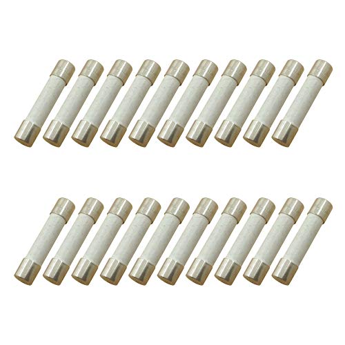 YOLISTIC (Pack of 20) 20 Amp 250V Microwave Slow-Blow Time Delay Fuse Ceramic 6x30mm Compatible and Universal Replacement for GE WB27X10388 and Whirlpool Kenmore Other Microwaves - Image 1